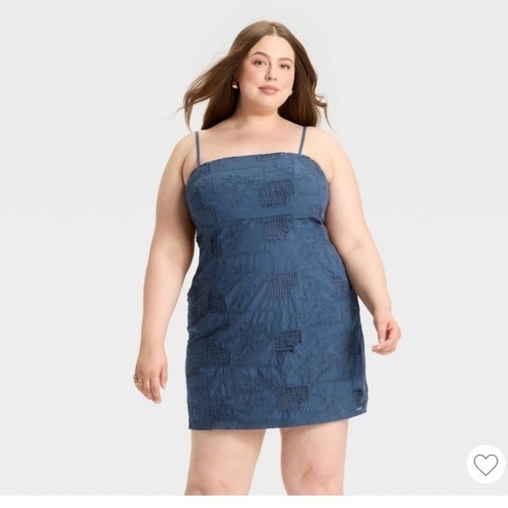 NWT Wild Fable Sleeveless Embroidered Mini Dress